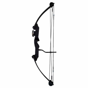 Compound Bow