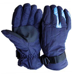 Snow / Ski Gloves