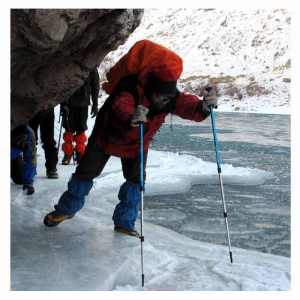 Hiking Pole